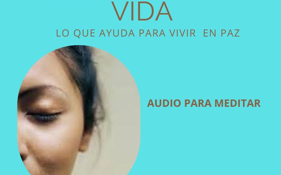 Asentir a la vida
